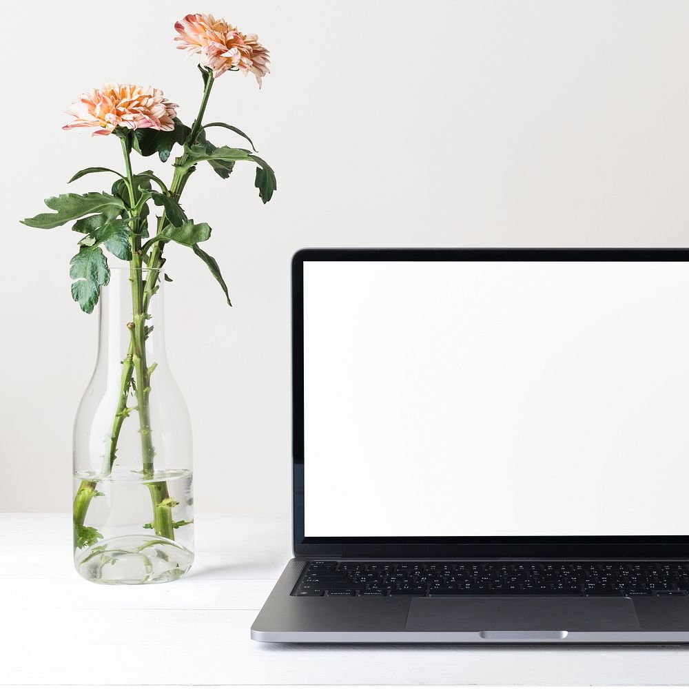 Laptop with blank screen, chrysanthemum flower in vase