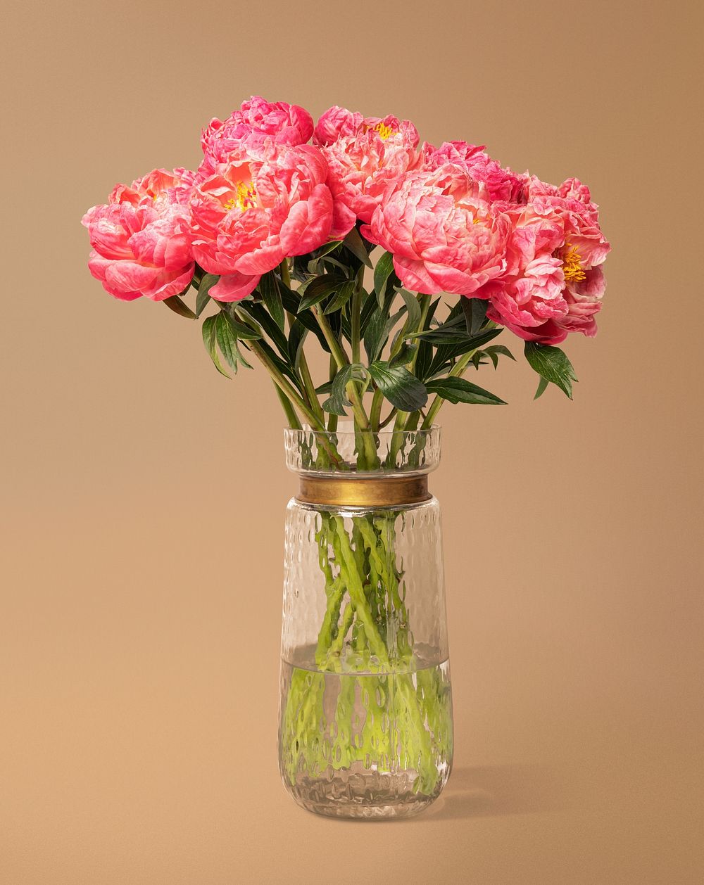 Pink peonies in glass vase, flower arrangement, home decor
