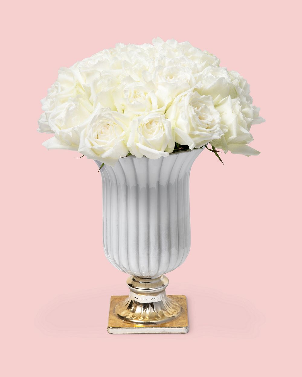 Fresh white roses in ceramic vase
