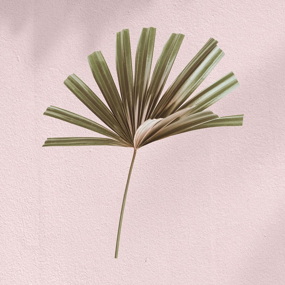 Green palm leaf pastel design