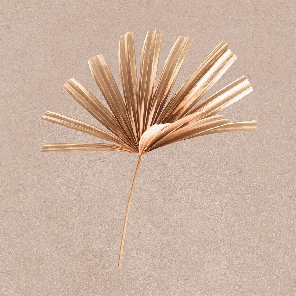 Gold palm leaf collage element psd