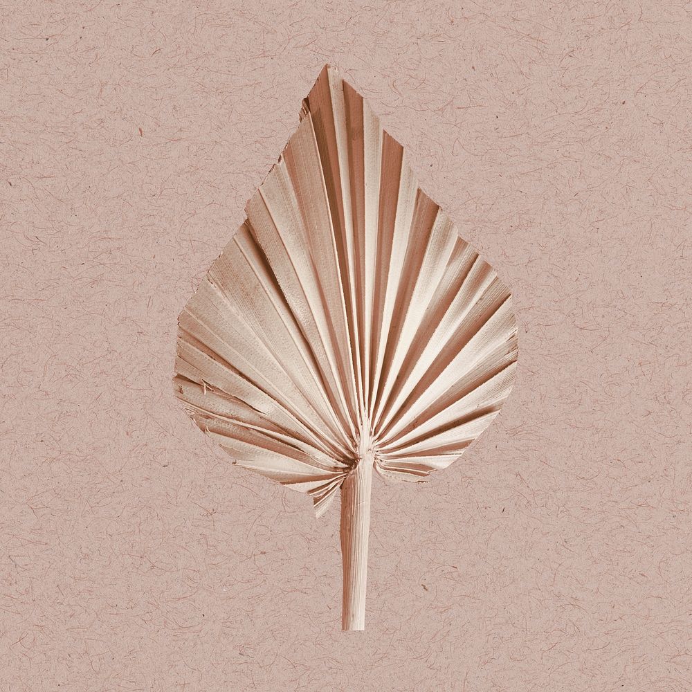 Fold palm leaf aesthetic design