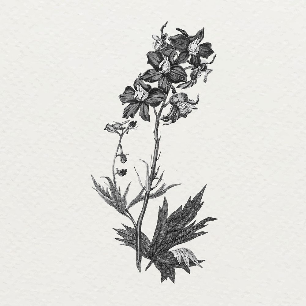 Flower collage illustration, black and white scrapbook element sticker vector art 