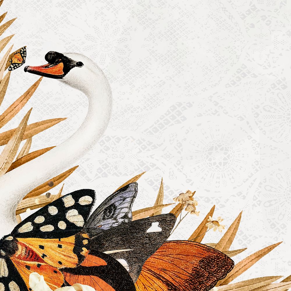Swan illustration, animal collage scrapbook mixed media artwork vector
