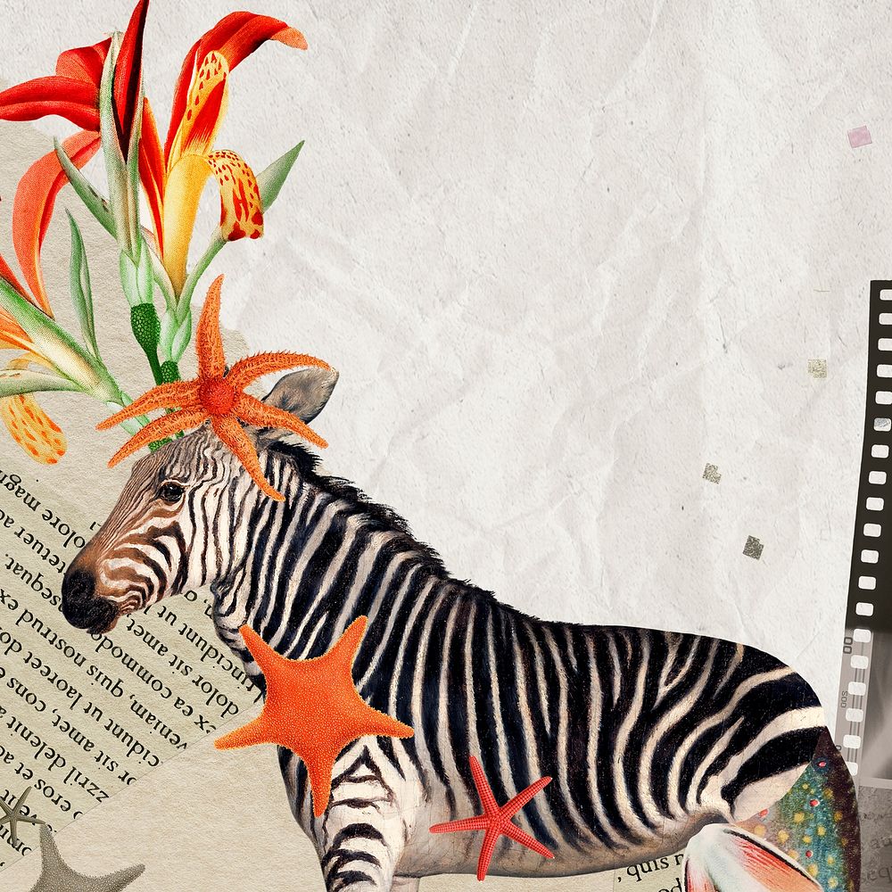 Zebra illustration, animal collage scrapbook mixed media artwork