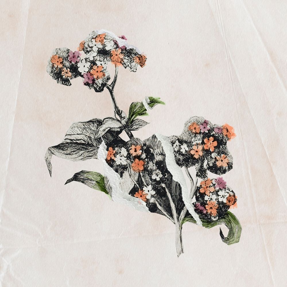 Vintage flower paper craft element, scrapbook art