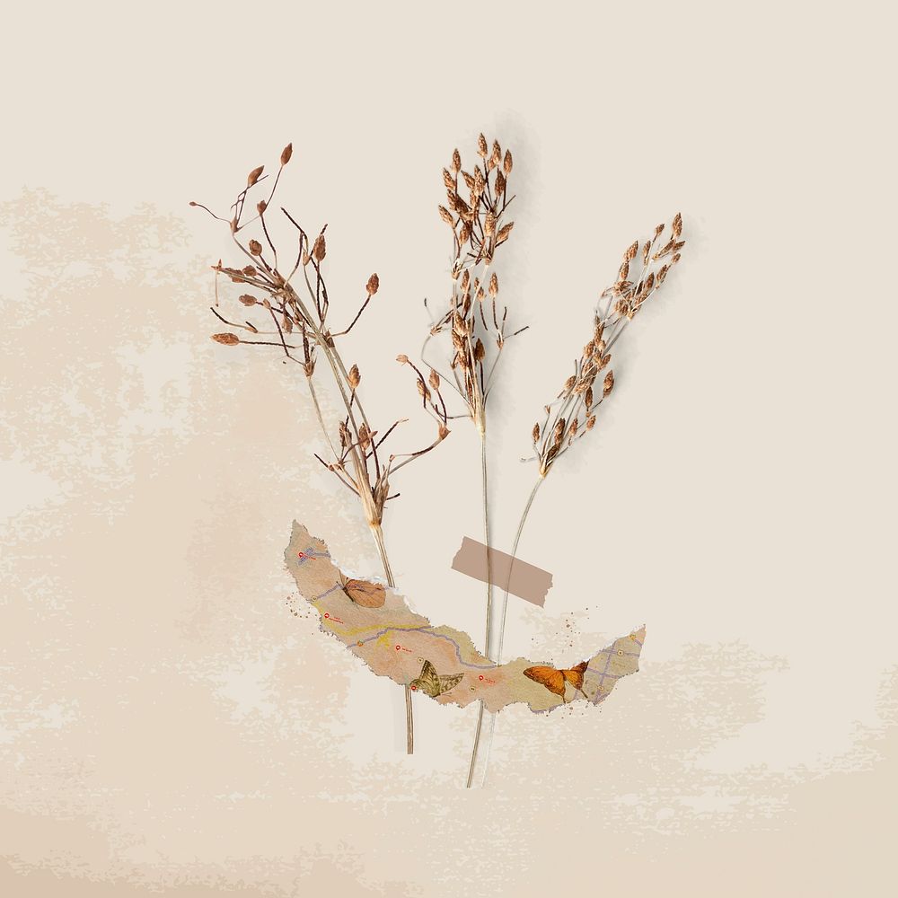 Dried flower botanical clipart, Autumn aesthetic vector