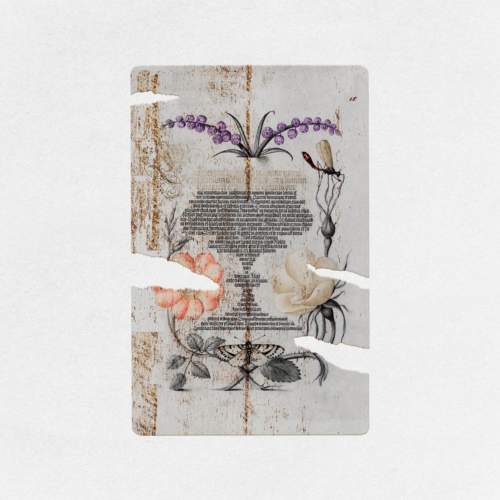 Floral ripped poster, abstract paper on the wall