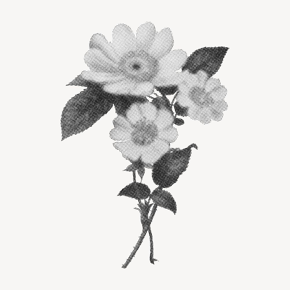 Halftone daisy flowers element, retro aesthetic black and white sticker psd