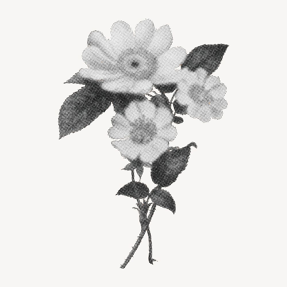 Daisy flowers graphic element, beautiful retro halftone aesthetic sticker