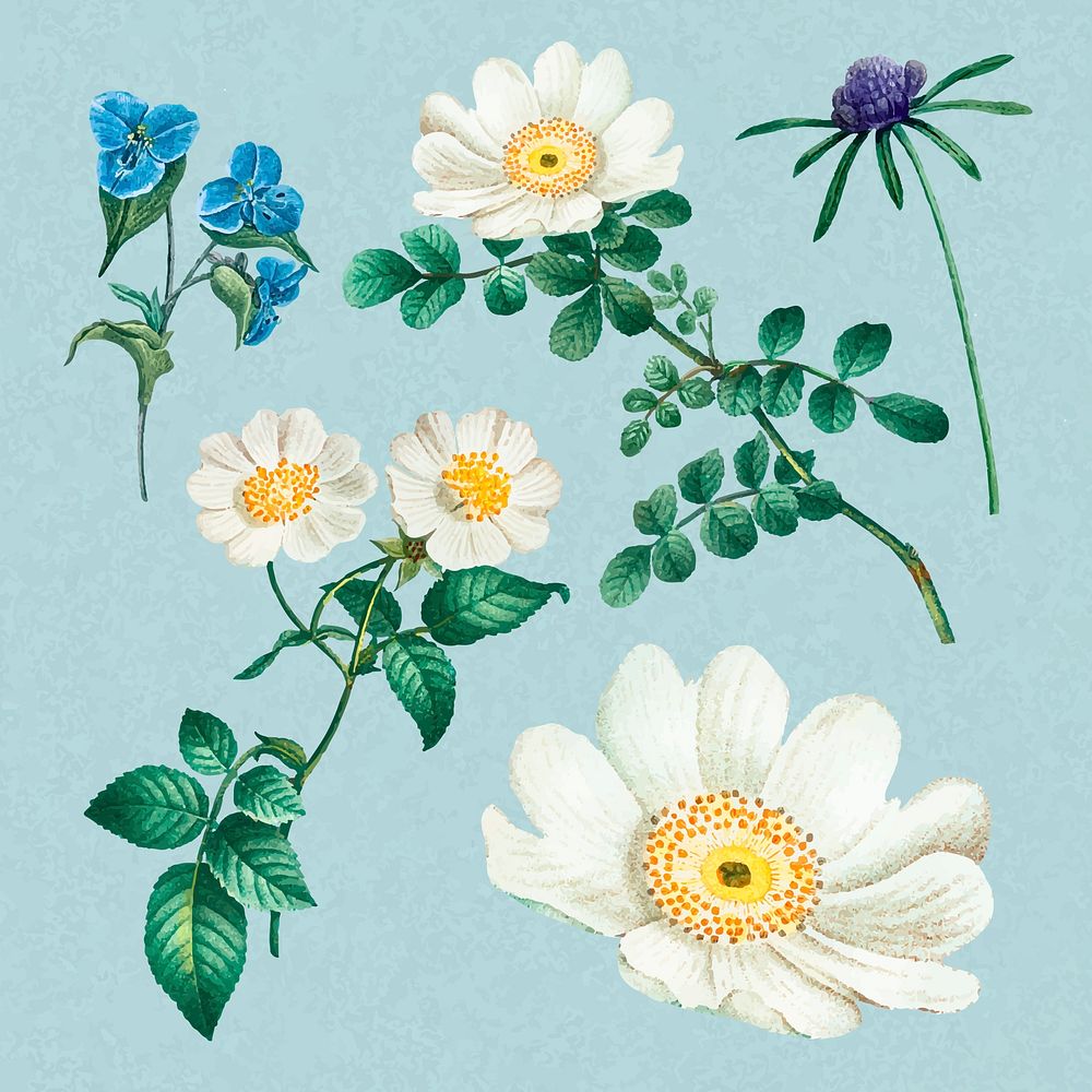 Vintage flower stickers, botanical design set vector, remixed from original artworks by Pierre Joseph Redout&eacute;