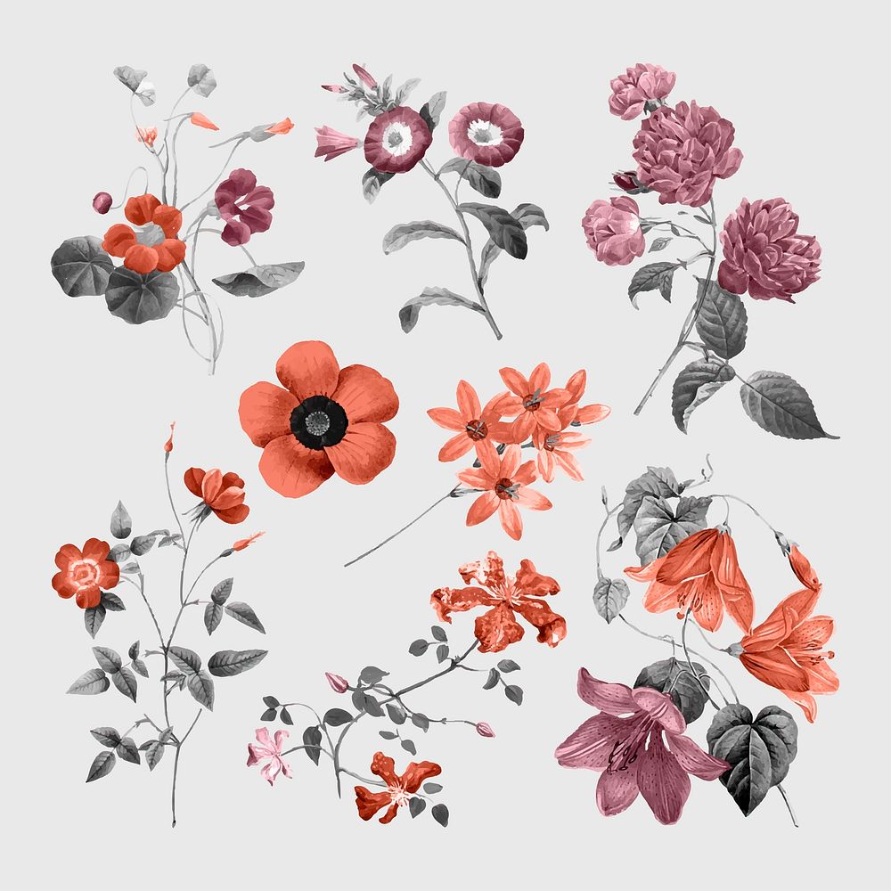 Vintage flowers stickers, grayscale red botanical design set vector, remixed from original artworks by Pierre Joseph…