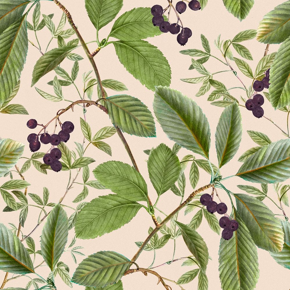 Botanical seamless pattern, leafy background, remixed from original artworks by Pierre Joseph Redout&eacute;