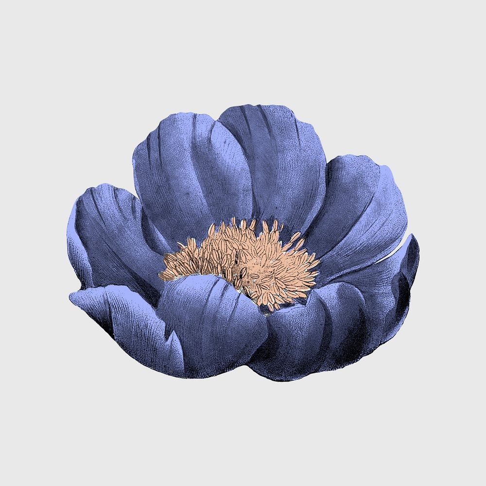Flower sticker, vintage blue botanical design psd, remixed from original artworks by Pierre Joseph Redout&eacute;