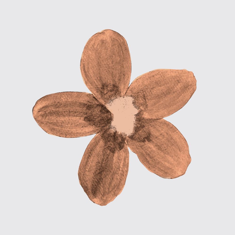 Flower sticker, vintage brown botanical design vector, remixed from original artworks by Pierre Joseph Redout&eacute;