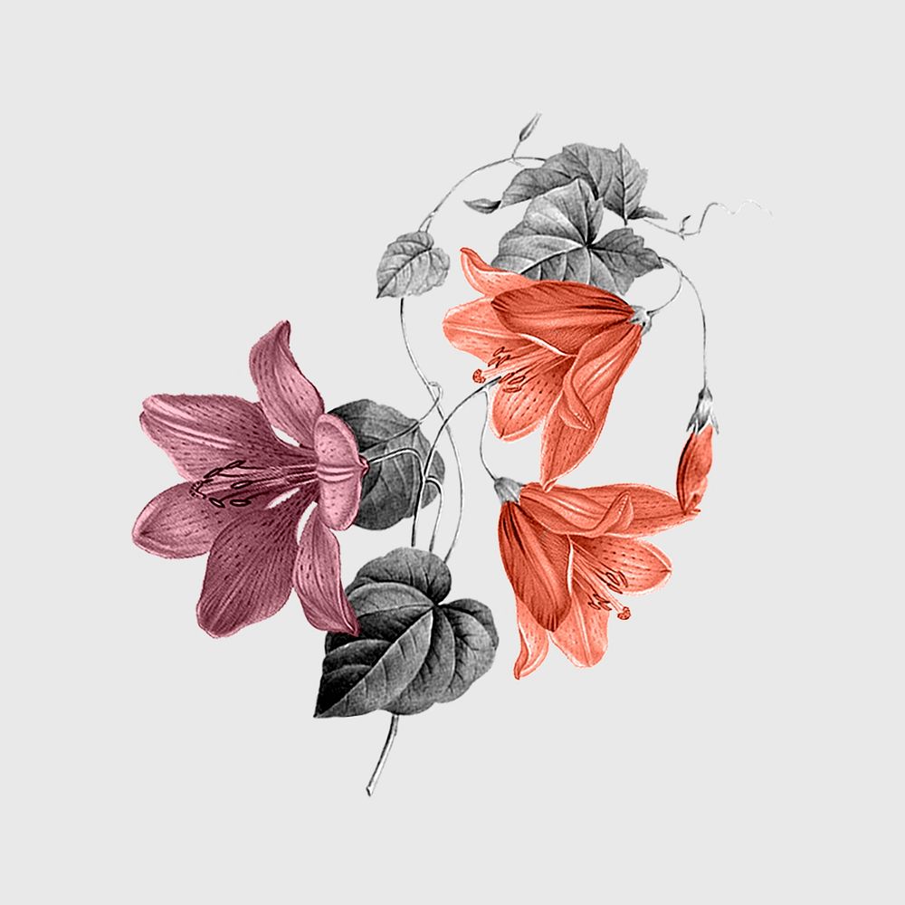 Retro floral sticker, vintage botanical design psd, remixed from original artworks by Pierre Joseph Redouté