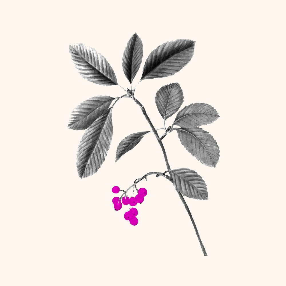 Retro leaf sticker, vintage botanical design vector, remixed from original artworks by Pierre Joseph Redout&eacute;