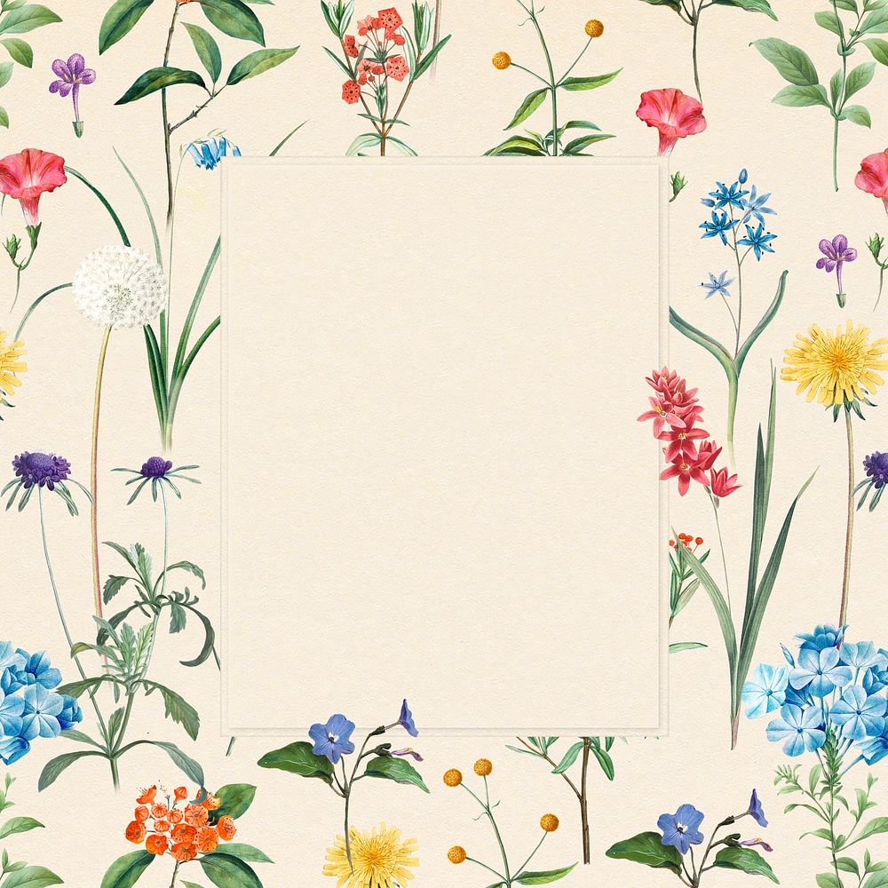 Flower frame background, botanical design, remixed from original artworks by Pierre Joseph Redout&eacute;