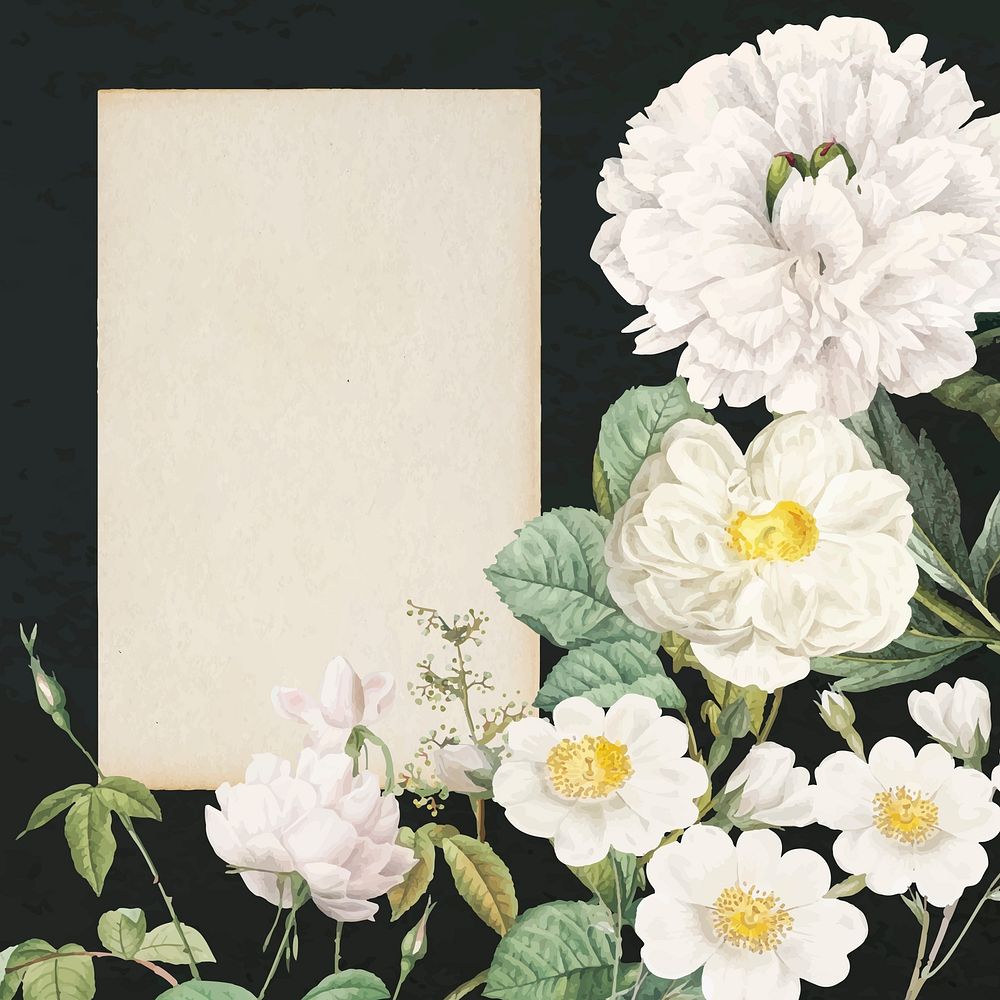 Vintage flower frame background, botanical design vector, remixed from original artworks by Pierre Joseph Redout&eacute;