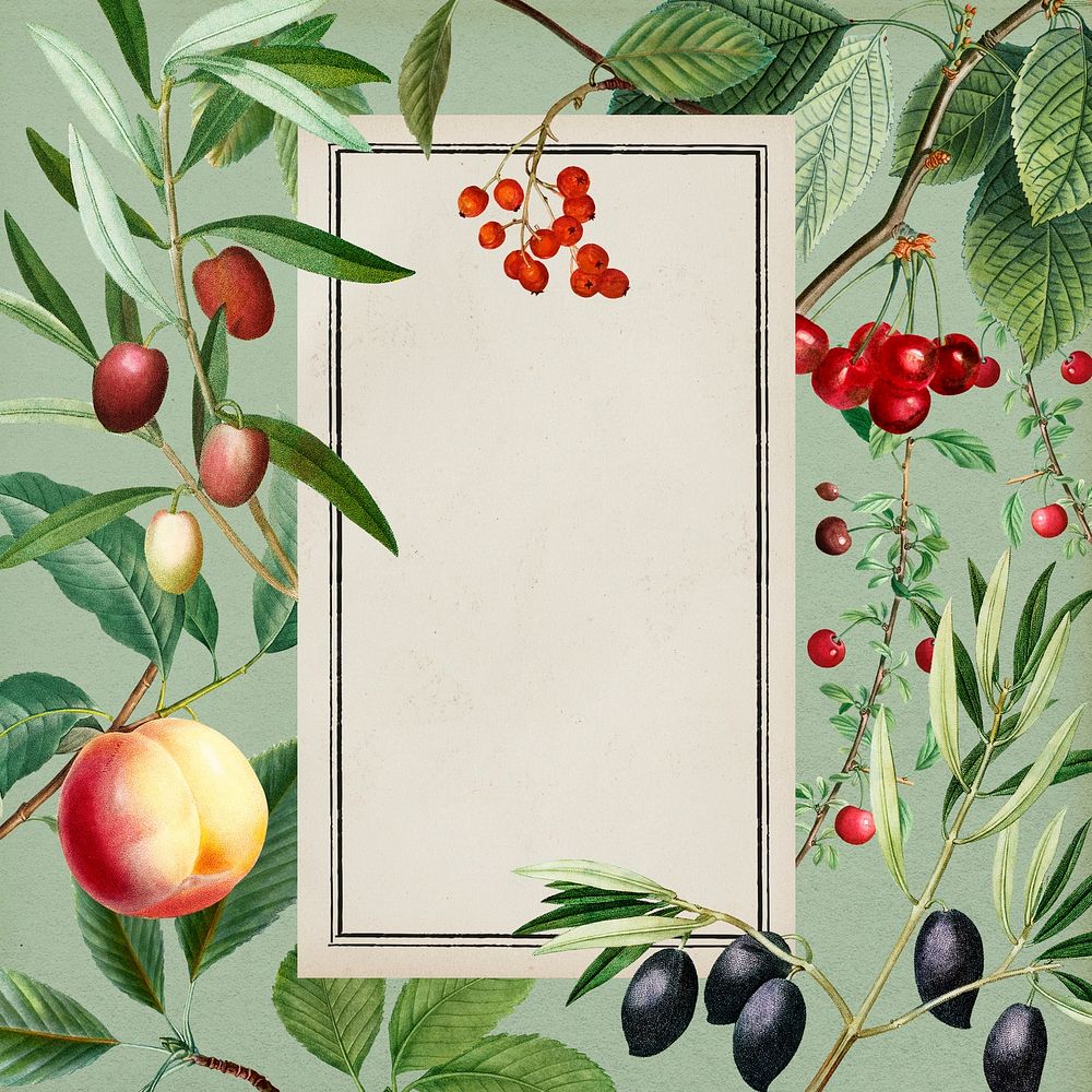 Botanical frame background, Mediterranean fruit, remixed from original artworks by Pierre Joseph Redout&eacute;
