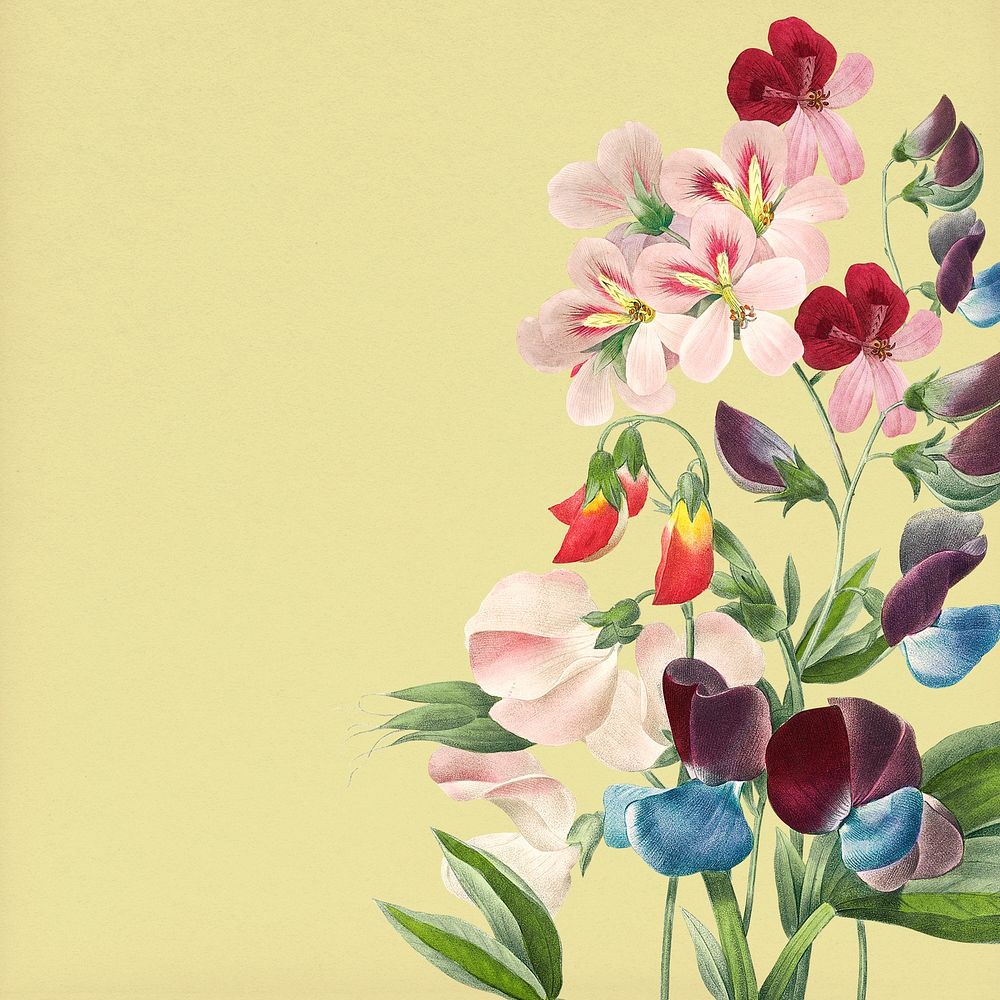 Colorful floral border background, botanical design, remixed from original artworks by Pierre Joseph Redout&eacute;