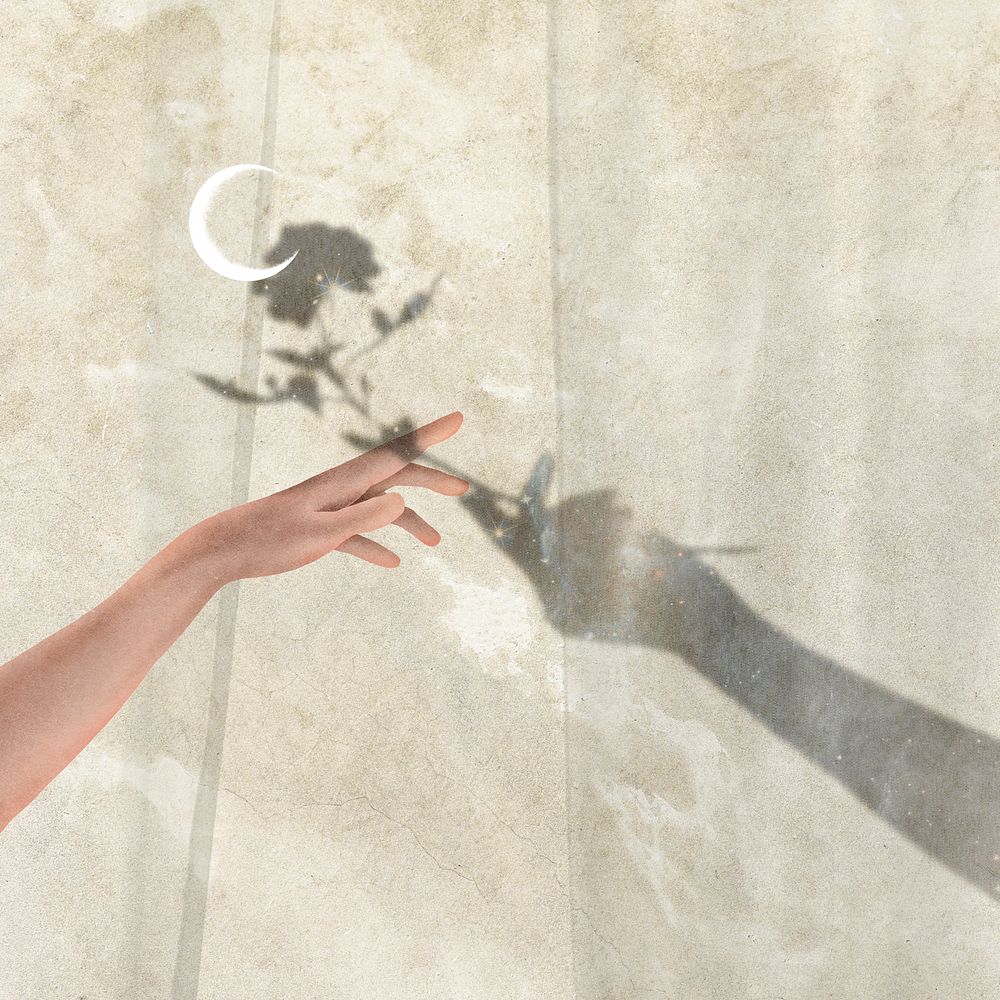 Aesthetic hand shadow illustration, feminine style