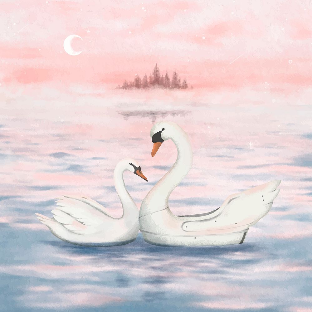 Couple mute swan, simple illustration vector