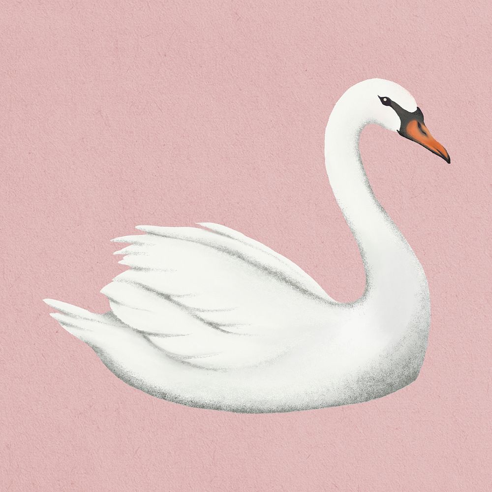 Mute swan sticker, simple illustration psd