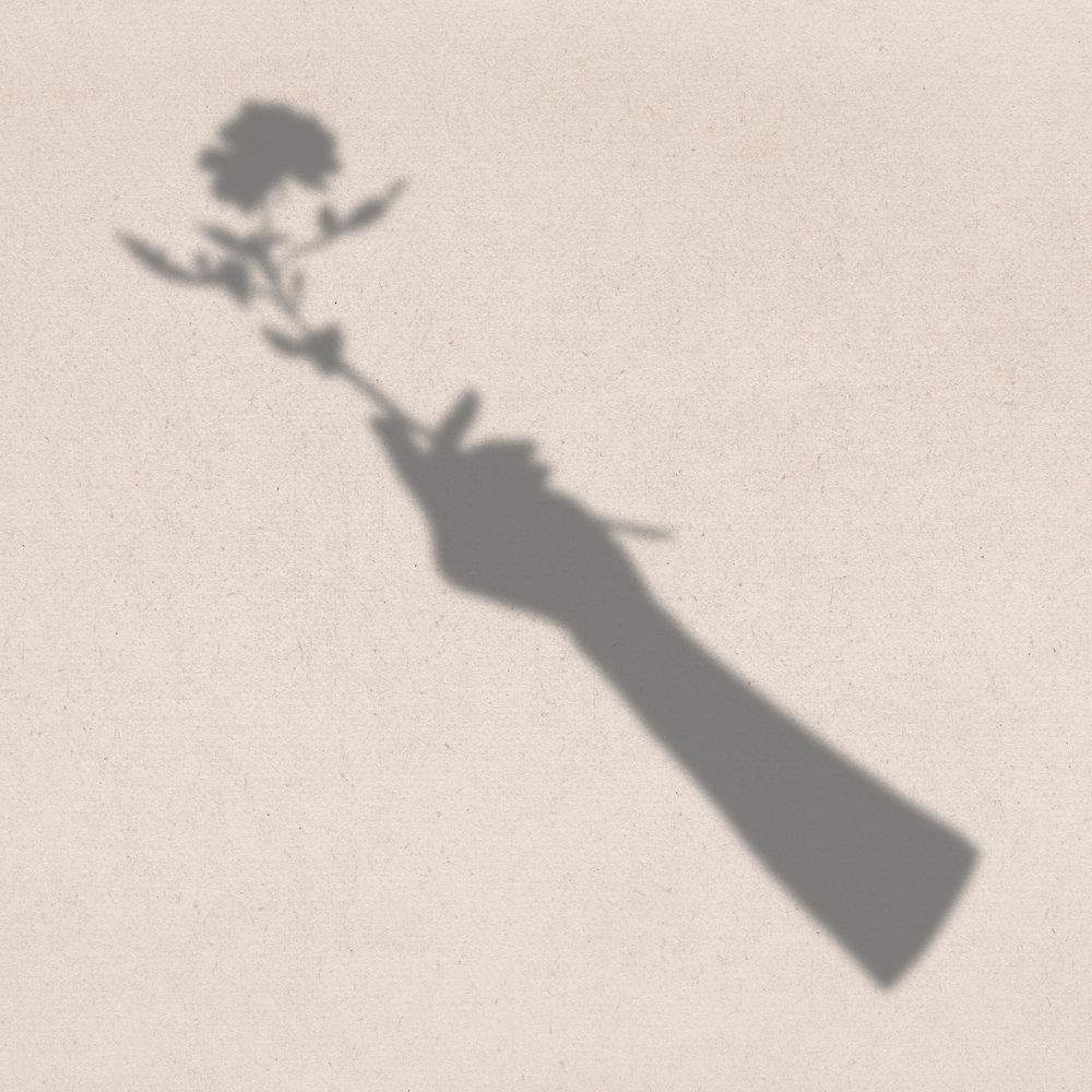 Flower shadow sticker, female hand illustration psd