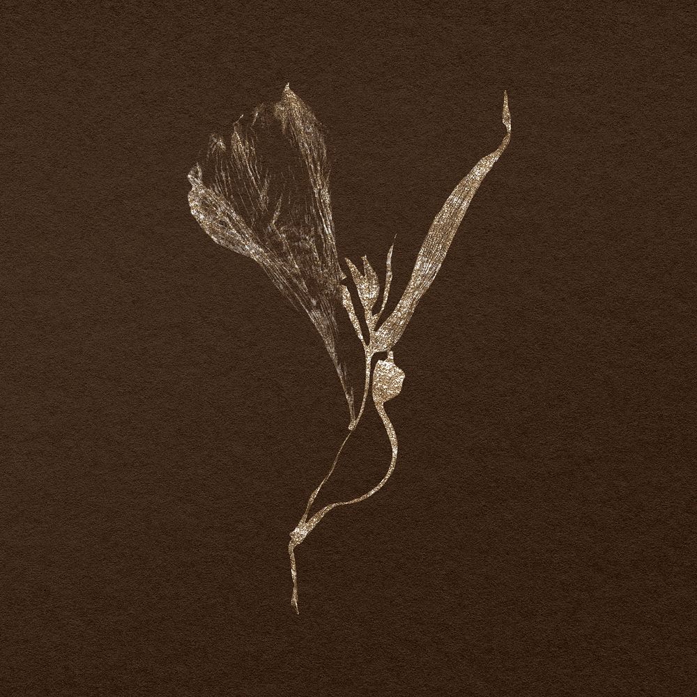 Dried lily, simple painting design
