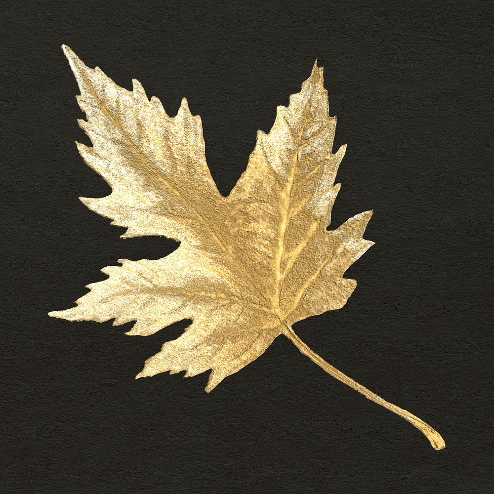 Gold botanical sticker, aesthetic painting design psd