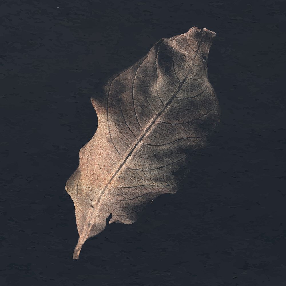 Autumn leaf sticker, botanical painting design vector