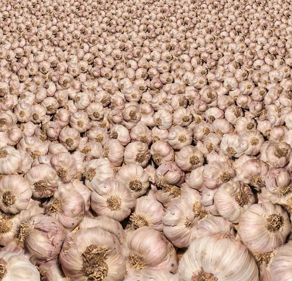 Free pile of garlic background image, public domain vegetables CC0 photo.
