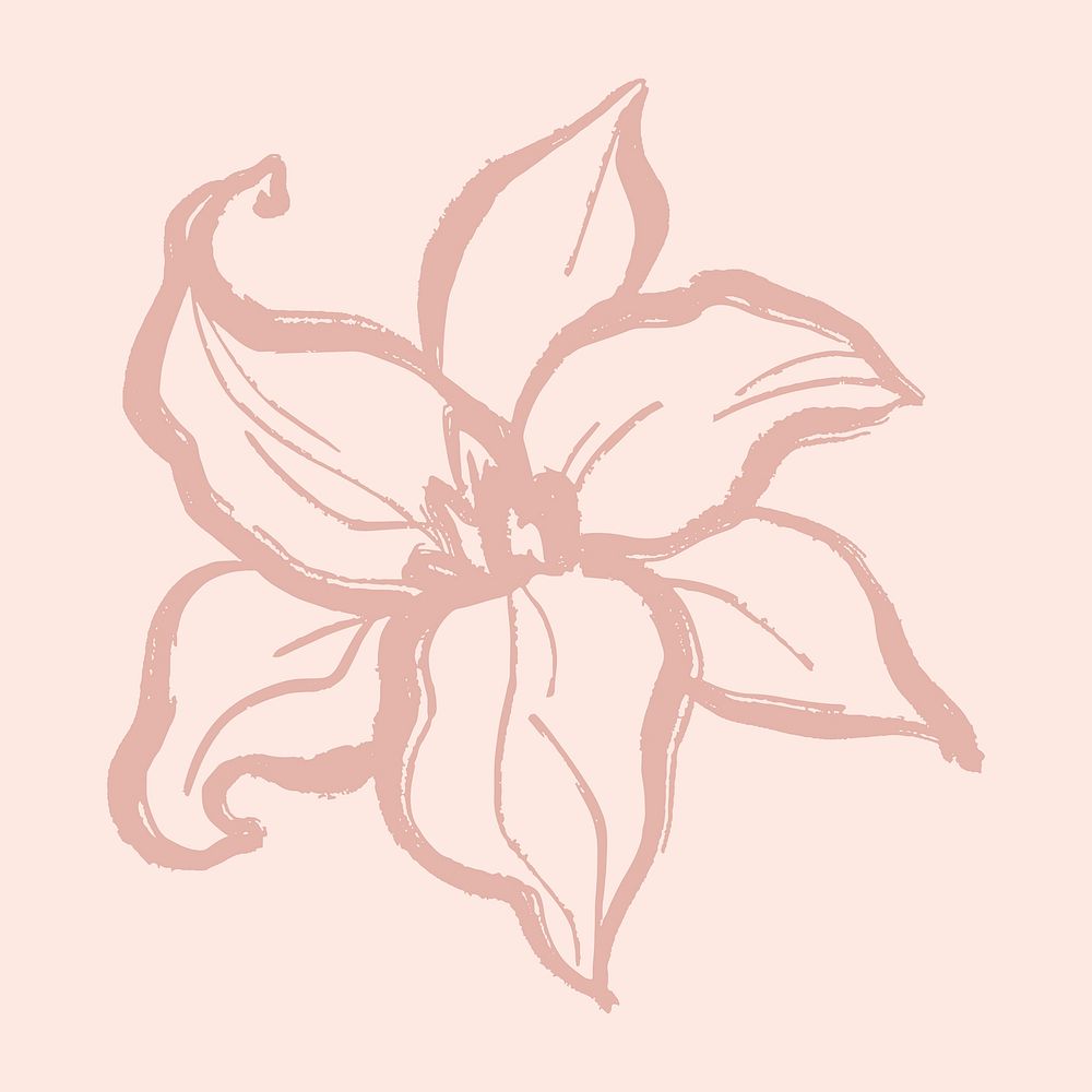 Lily collage element, pink flower line art, simple illustration vector