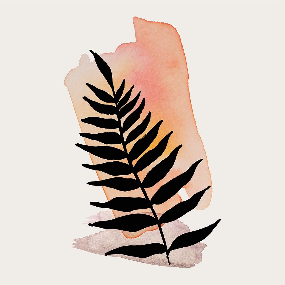 Black fern graphic illustration on pink brushstroke 