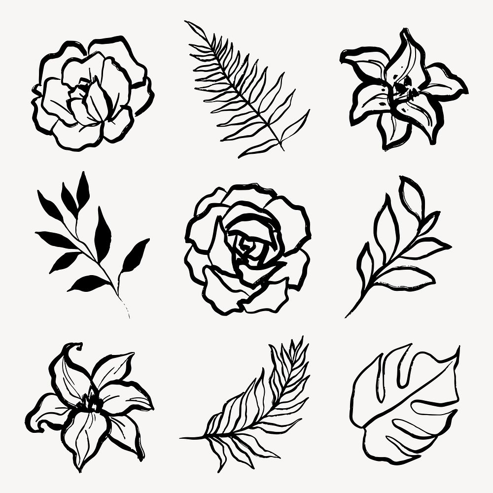 Botanical collage elements, flowers and leaves black line art, simple illustration set vector