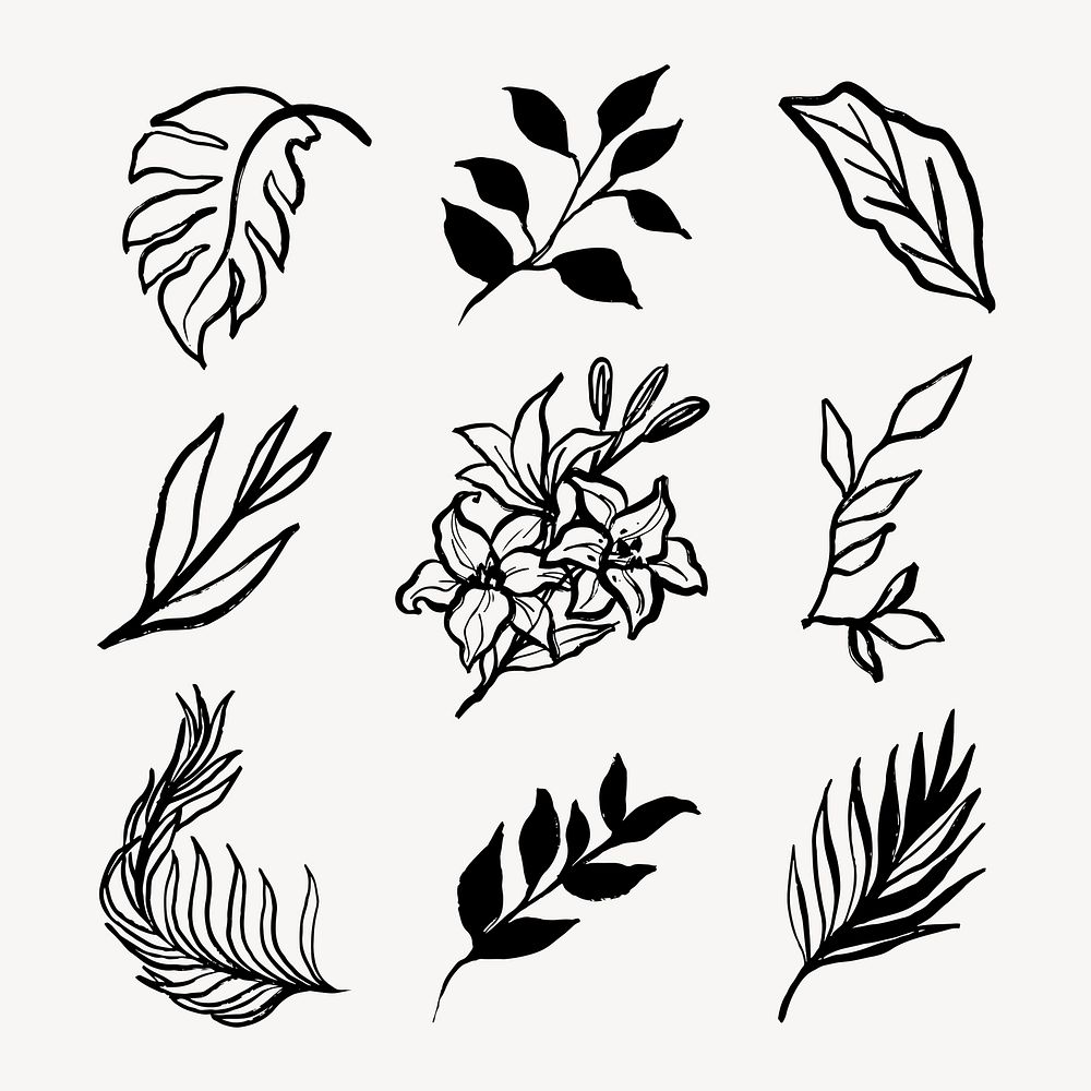 Botanical collage elements, flowers and leaves black line art, simple illustration set vector