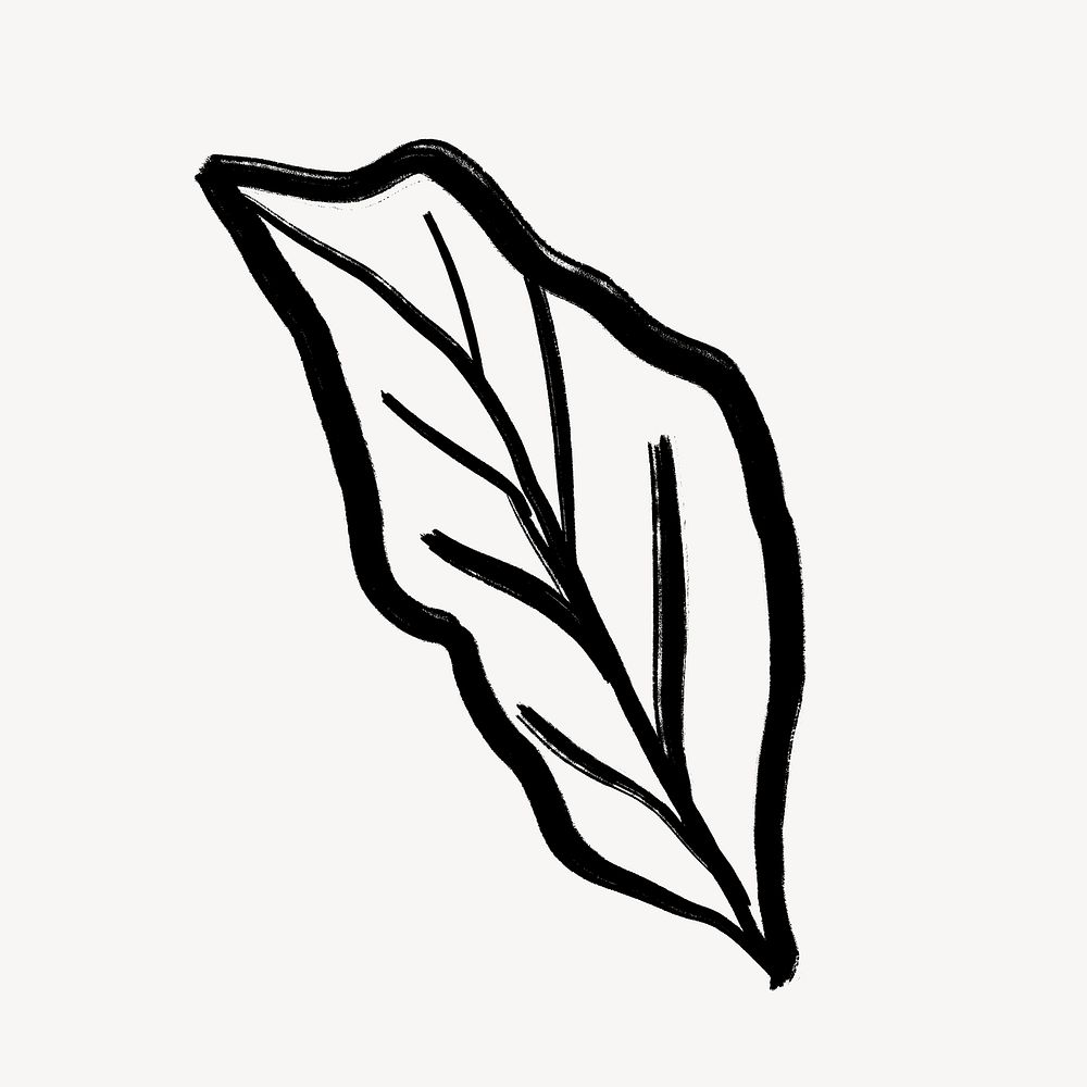 Leaf collage element, botanical line art, simple illustration for scrapbook psd