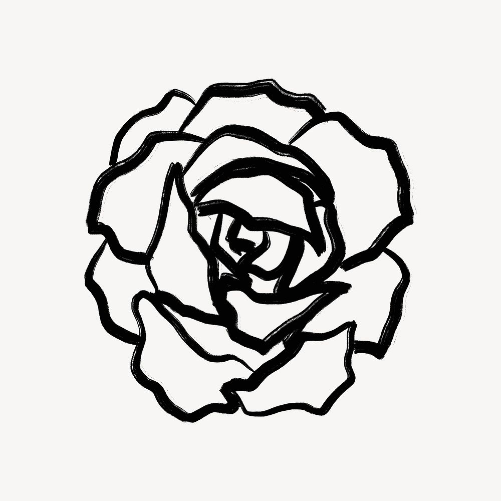 Rose line art, simple black flower graphic illustration