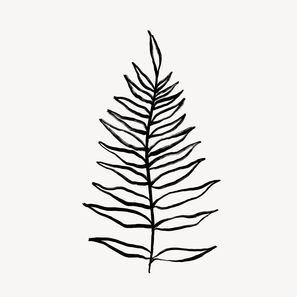 Botanical collage sticker, simple fern line art psd