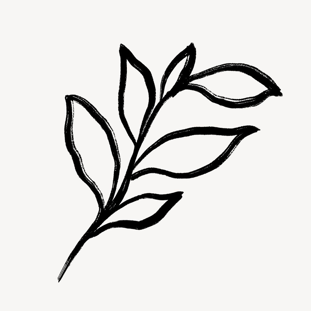 Leaf collage element, botanical black line art, minimal illustration psd