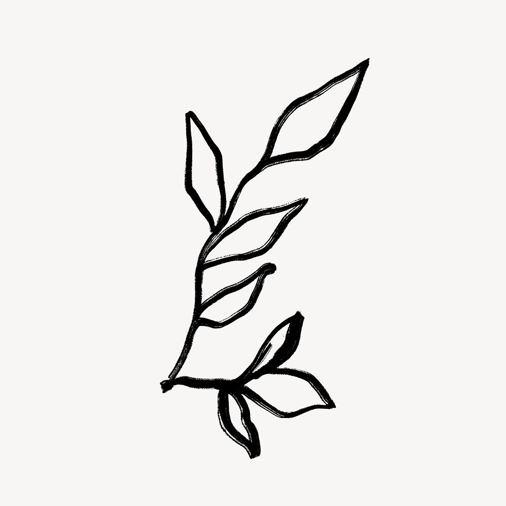 Botanical line art, minimal black graphic illustration