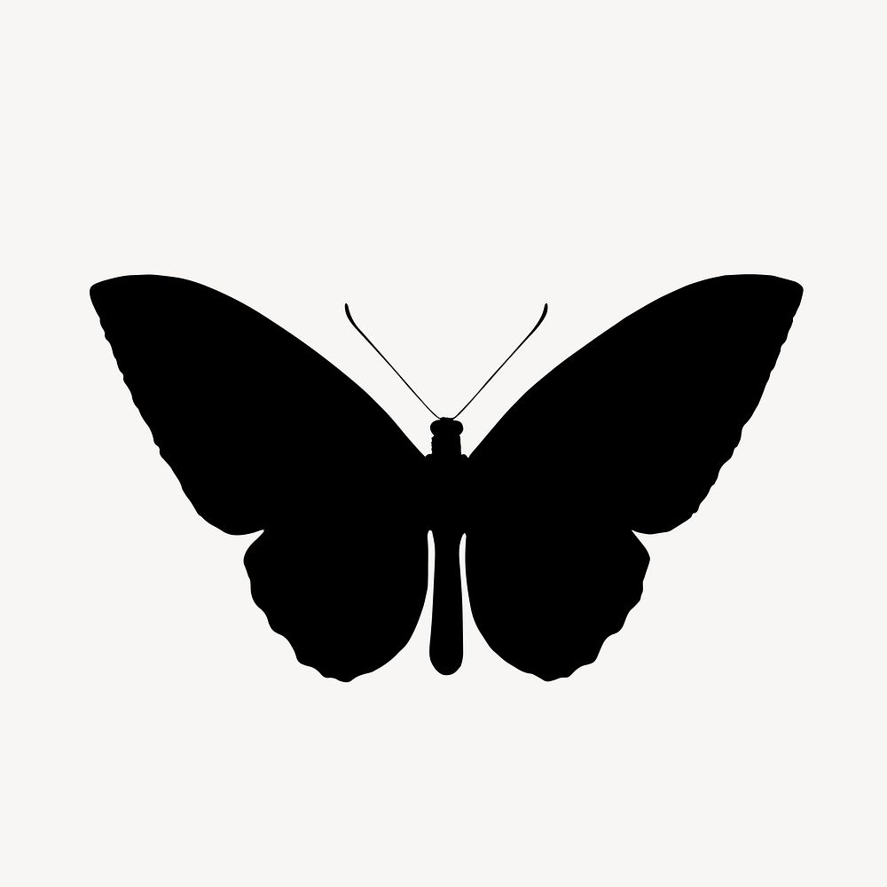 Black butterfly silhouette, black flat graphic  on white background