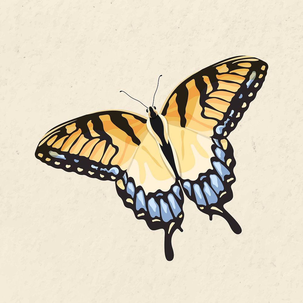 Yellow butterfly watercolor illustration, Two-Tailed Swallowtail vector