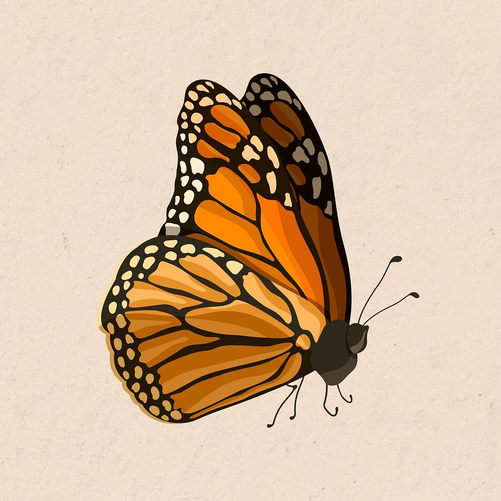 Orange butterfly sticker watercolor illustration psd