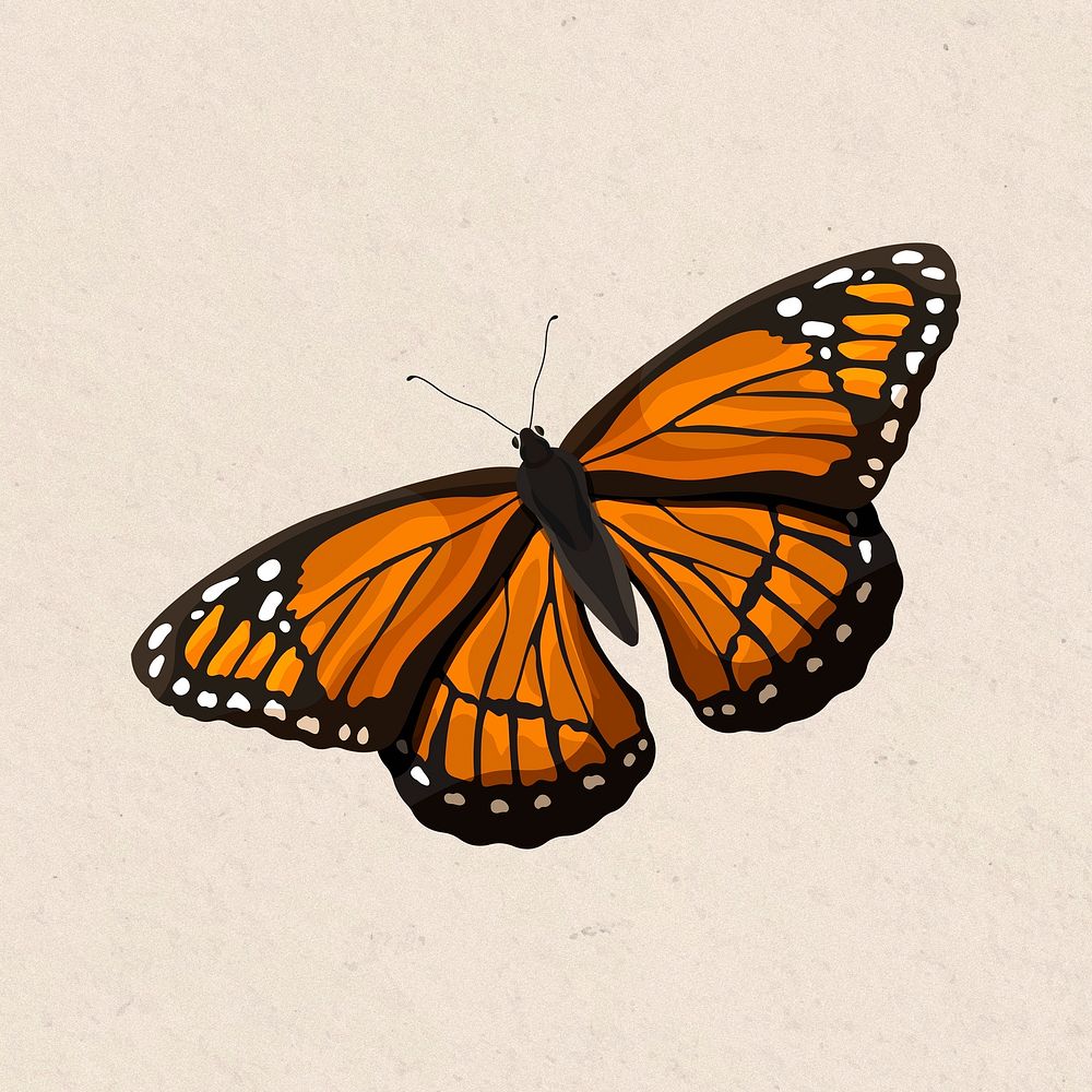 Monarch butterfly sticker, orange watercolor illustration psd