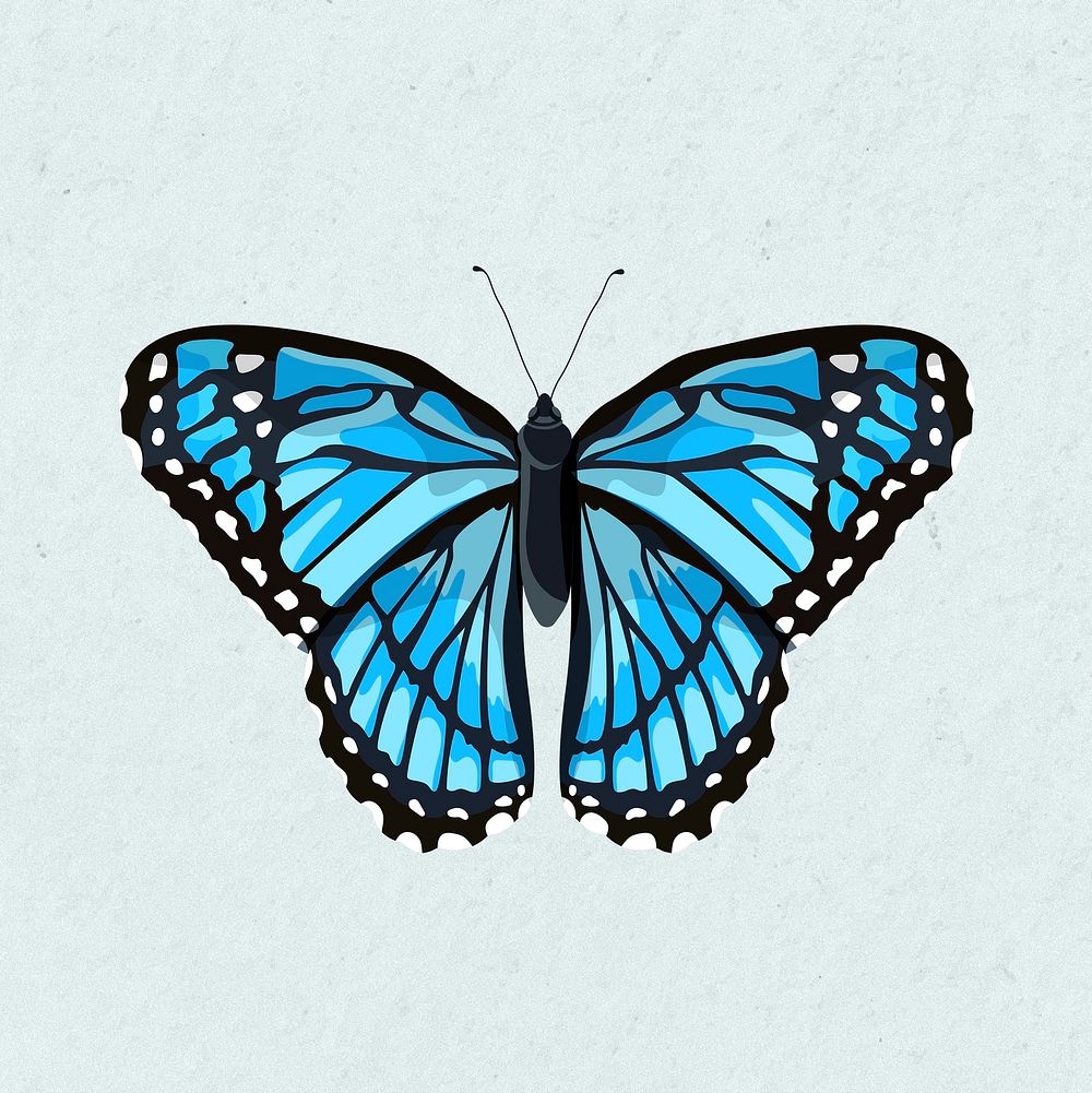 Blue Morpho butterfly sticker watercolor illustration psd