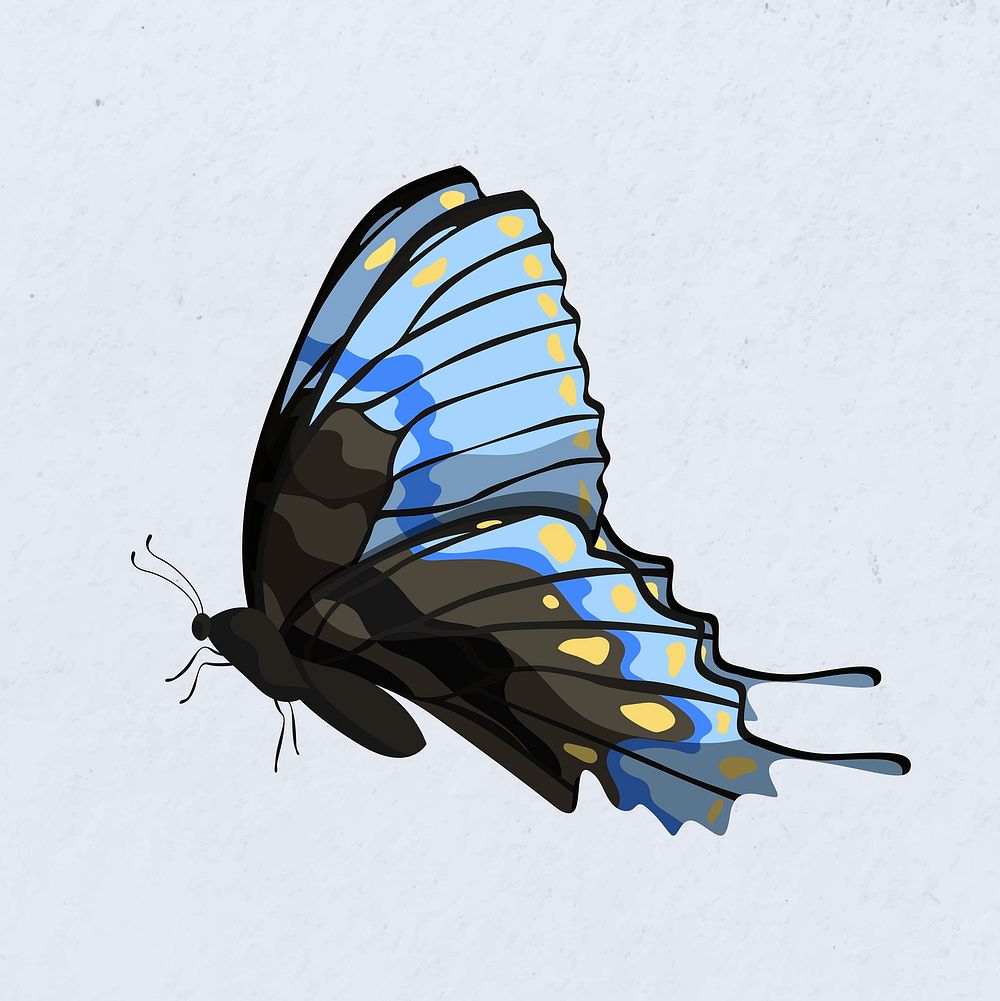Blue butterfly, beautiful watercolor illustration
