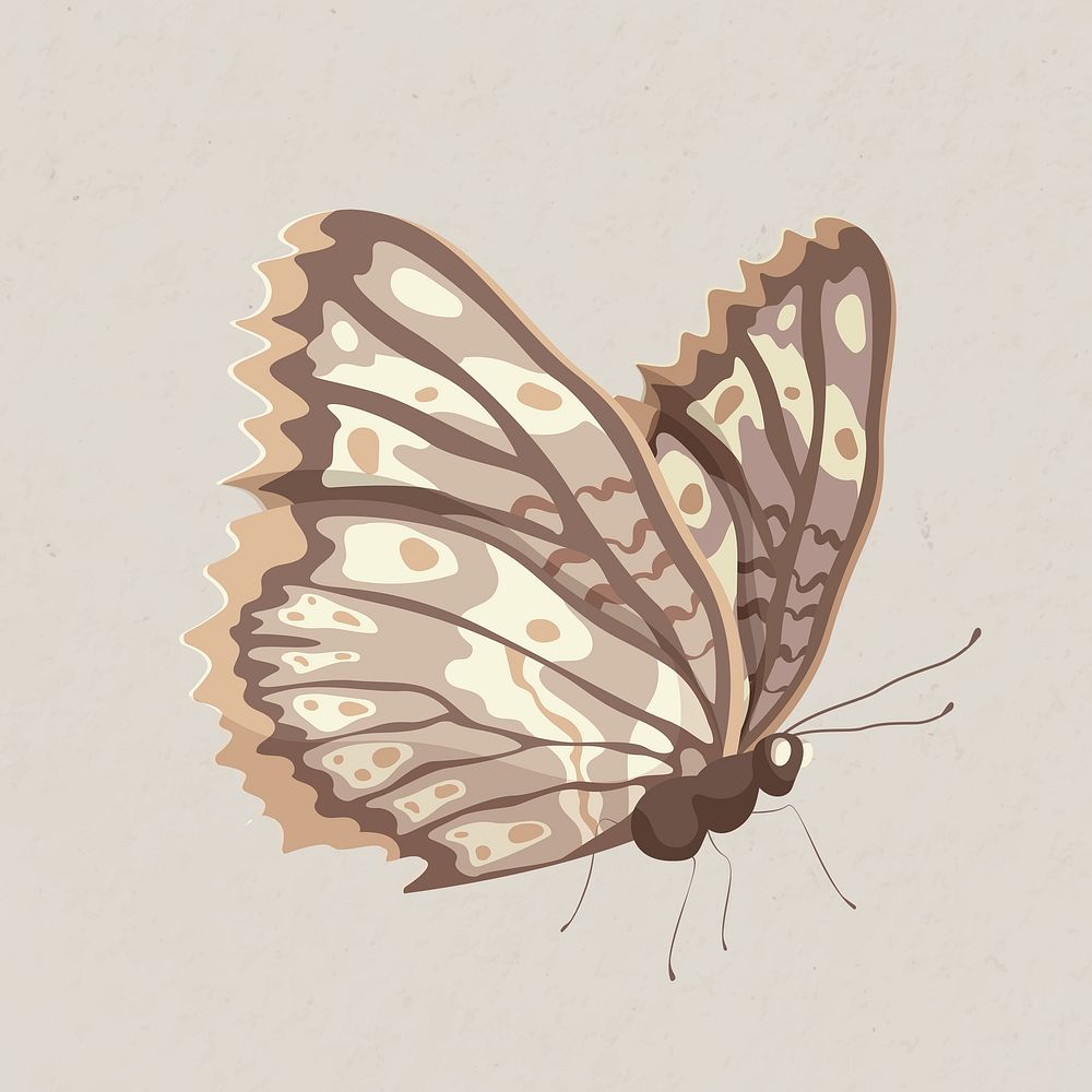 Beige butterfly collage element, watercolor illustration psd