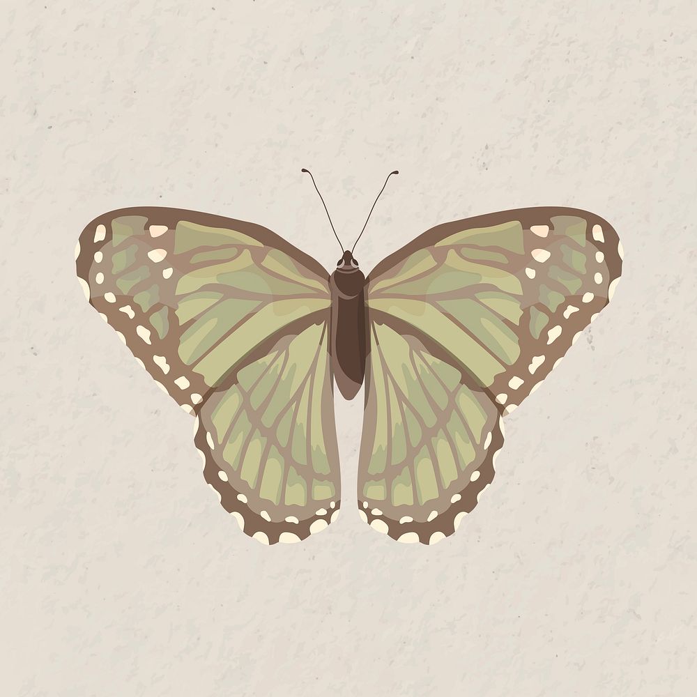 Green butterfly, watercolor collage element psd